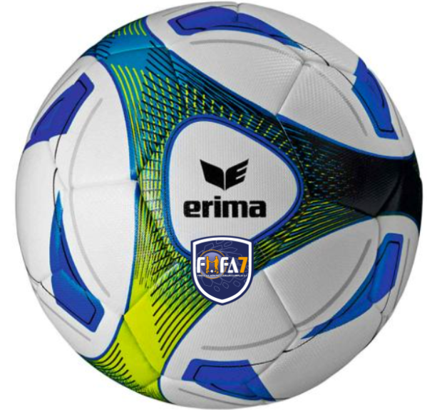 Ballon de match ERIMA