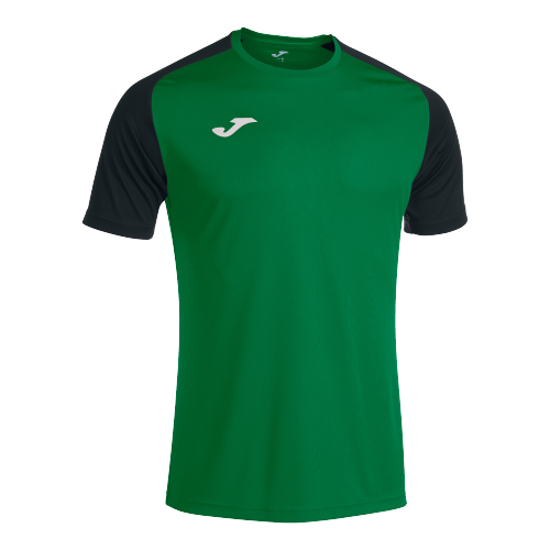 T-shirt ACADEMY IV - vert - noir