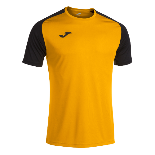 T-shirt ACADEMY IV - orange ambre - noir