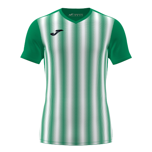 T-shirt INTER II - vert - blanc
