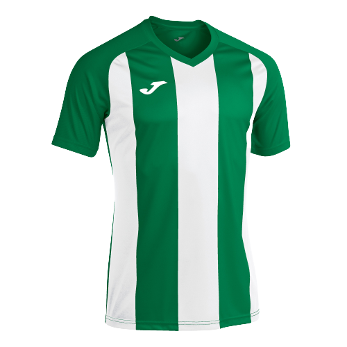 T-shirt PISA II manches courtes - vert - blanc