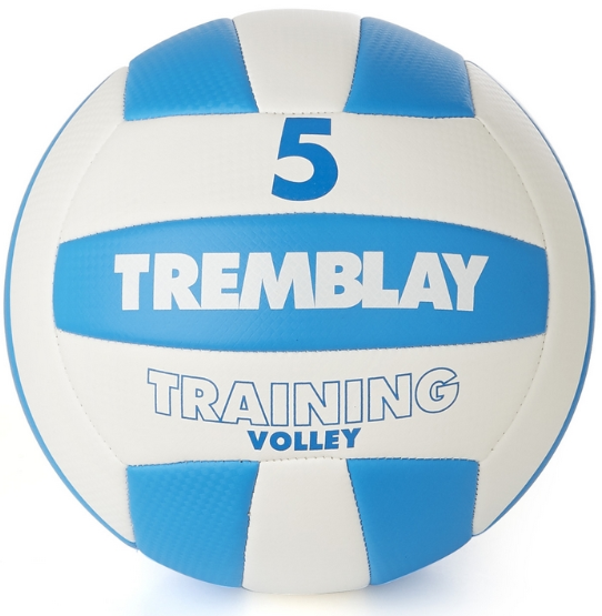 Training Volley taille 5