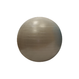Gymball / Balle gymnique 55cm