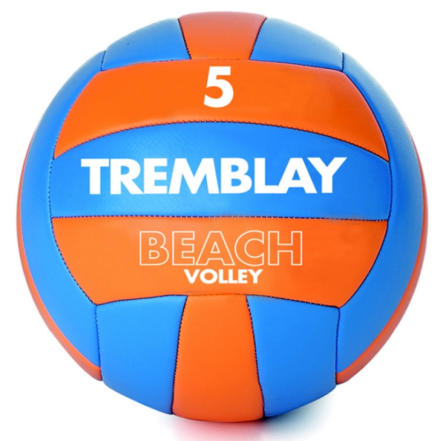 Beach Volley taille 5