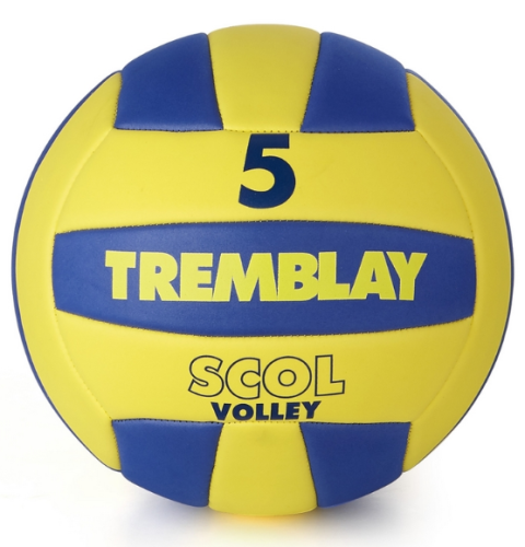 Scol'Volley taille 5